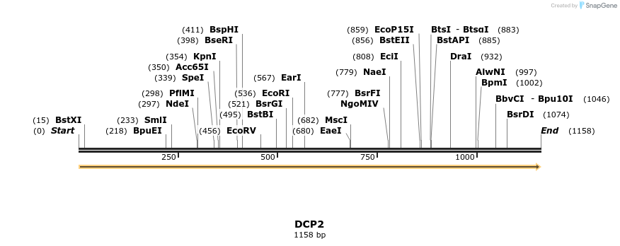 300903_map