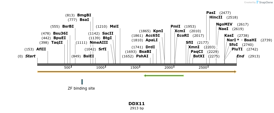 300906_map