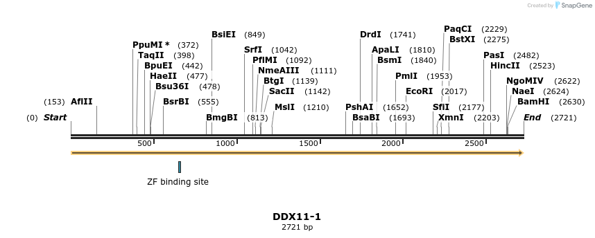 300907_map
