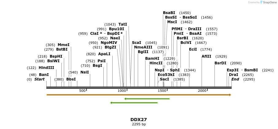 300917_map