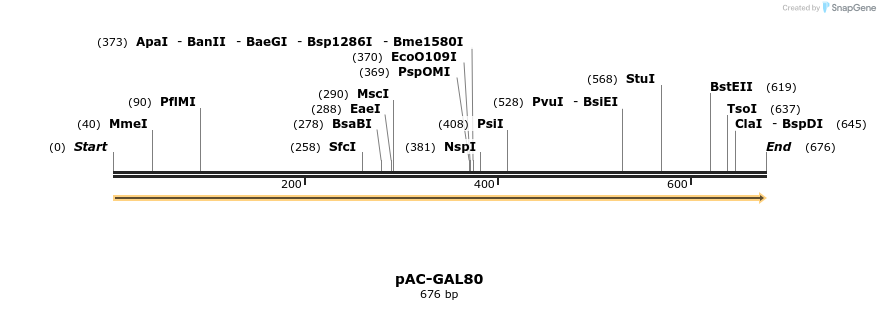 30092_map