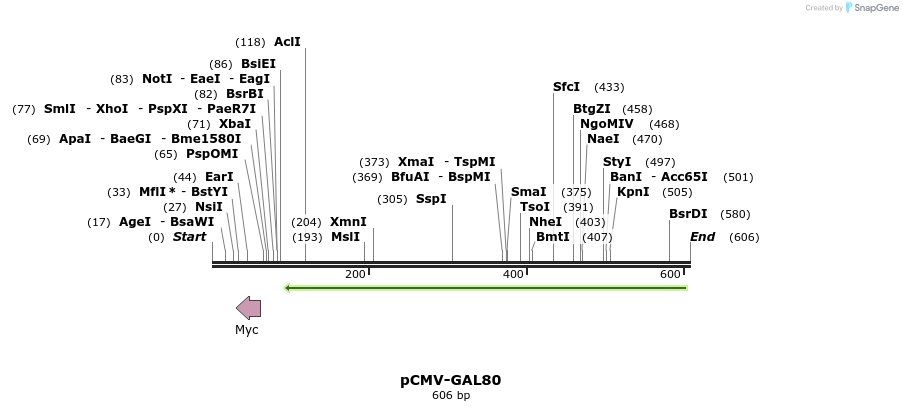 30093_map