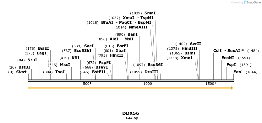300934_map