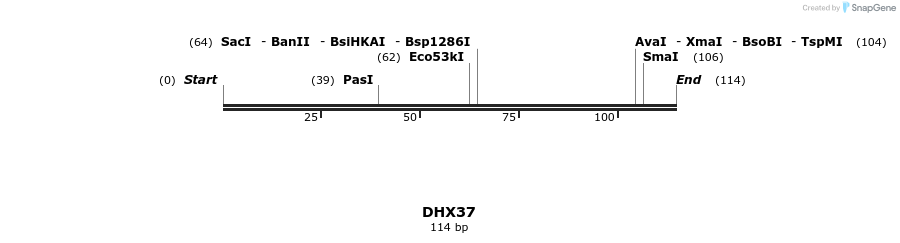 300943_map