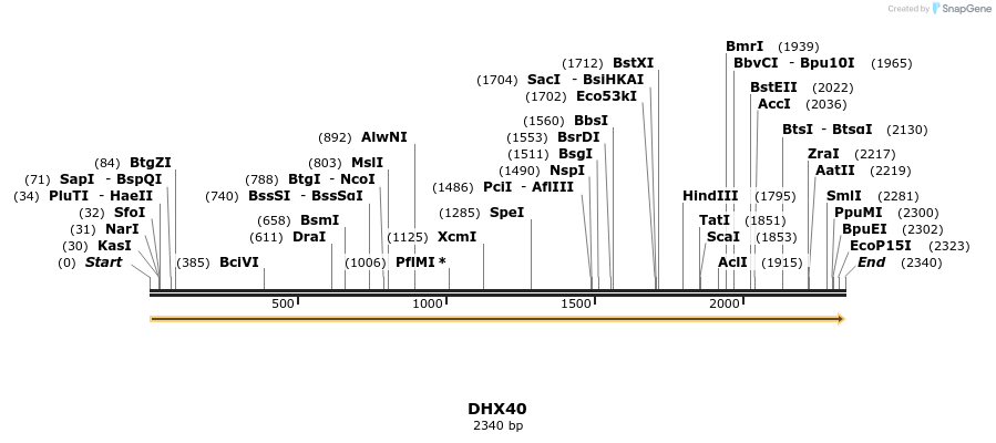 300944_map