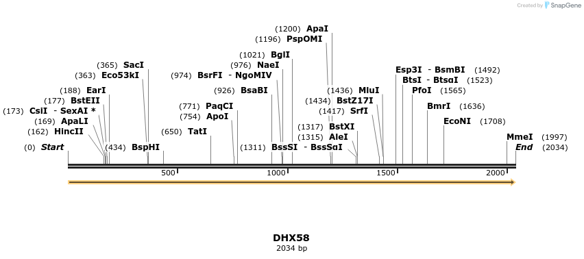 300946_map