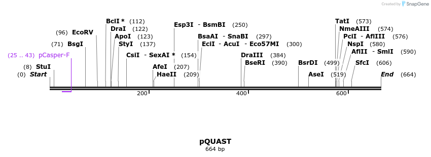 30095_map