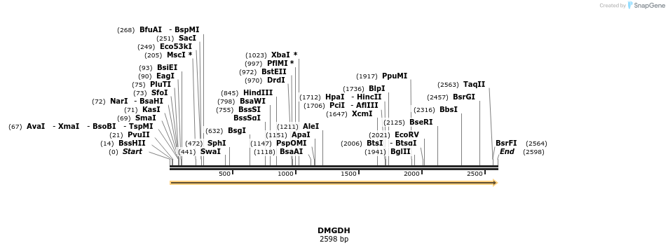 300953_map