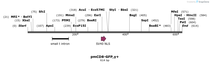 30099_map