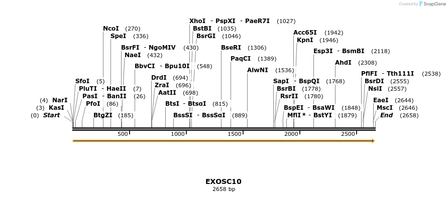 300993_map