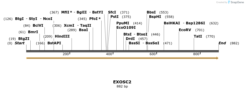 300994_map