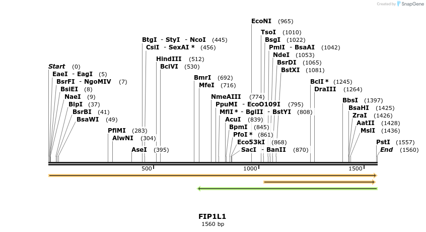 301009_map