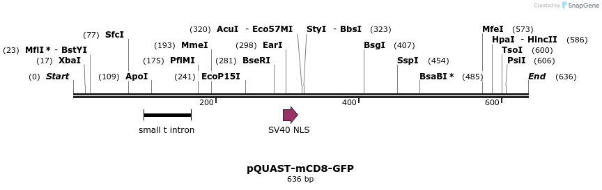 30101_map