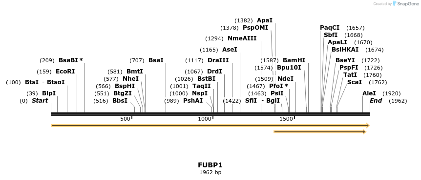 301017_map