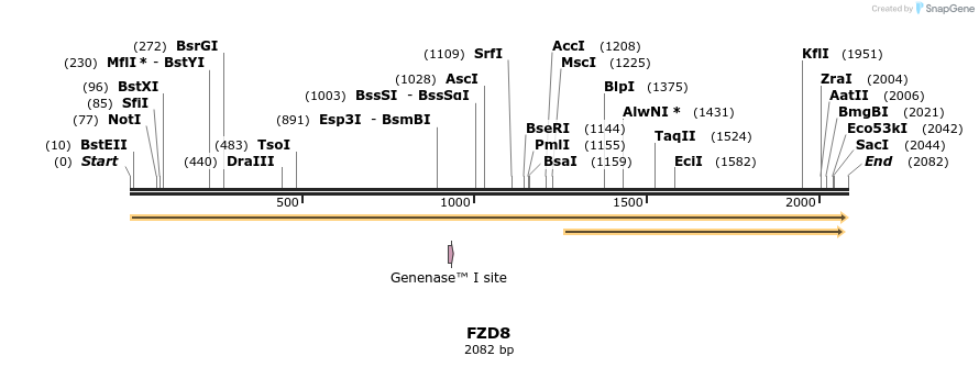 301022_map