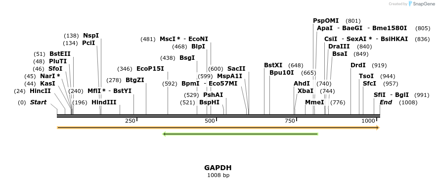 301026_map