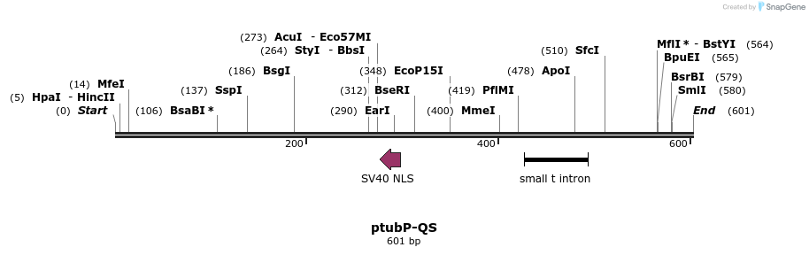 30103_map