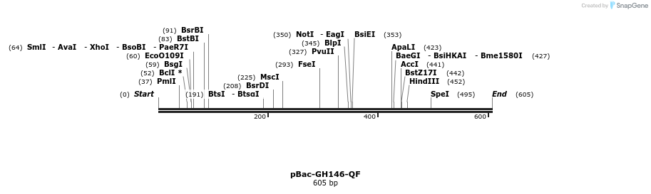 30105_map