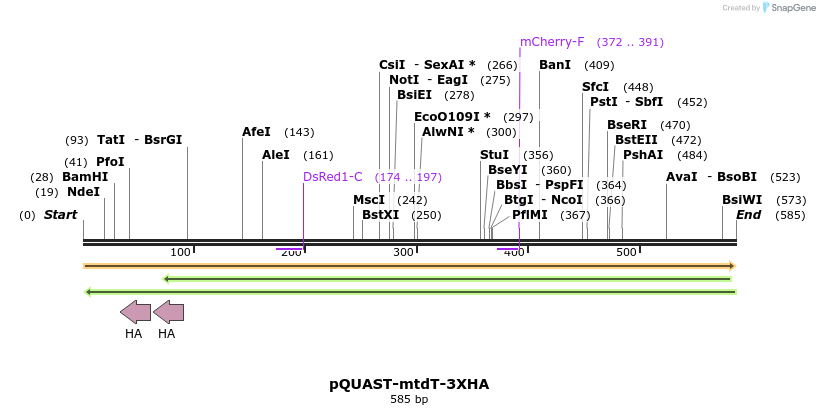30107_map