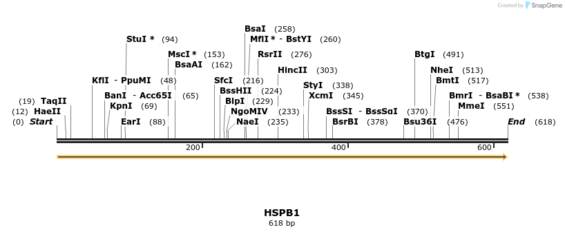 301074_map