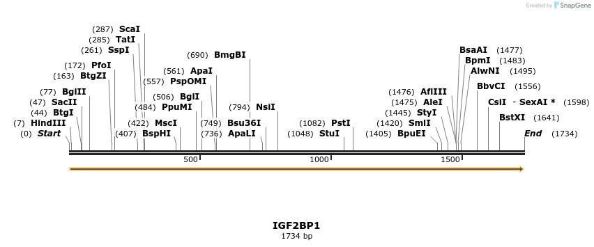301080_map