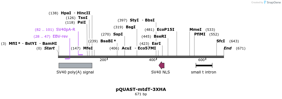 30109_map
