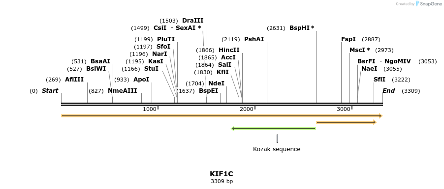 301091_map