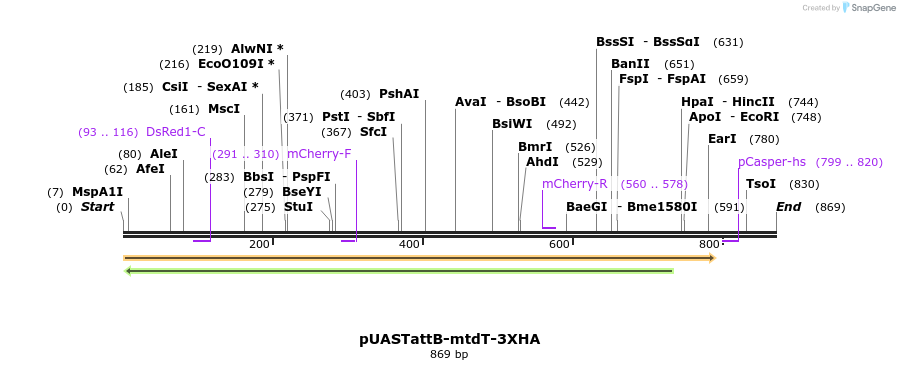 30110_map