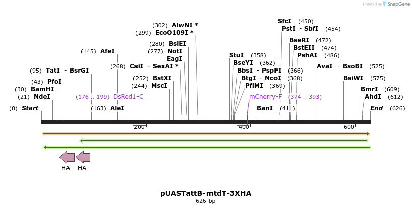 30111_map