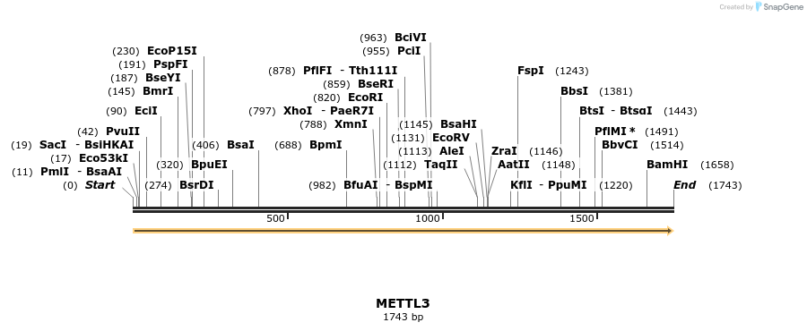 301129_map
