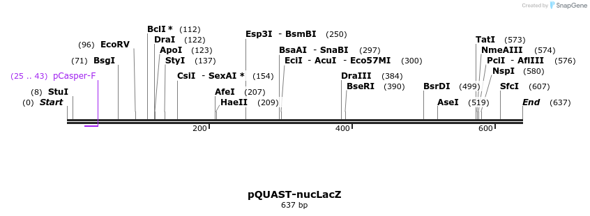 30113_map