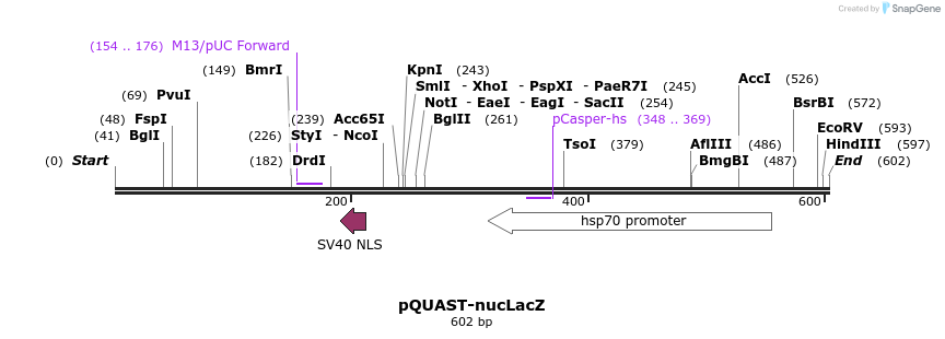 30114_map