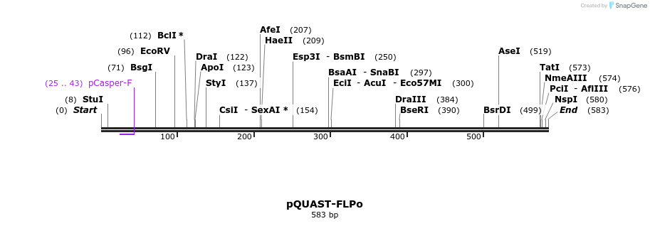 30115_map