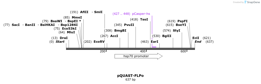 30116_map