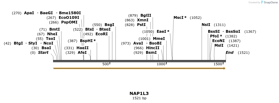 301167_map