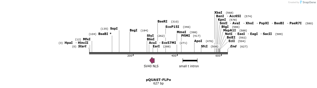 30117_map