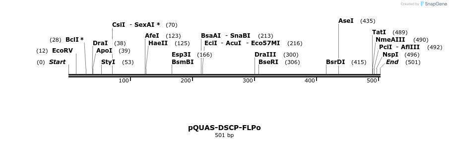 30118_map
