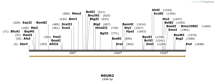 301197_map