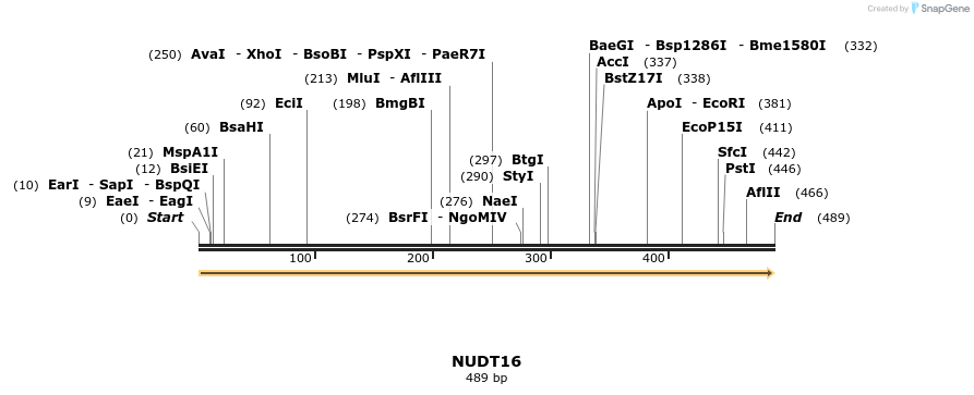 301198_map