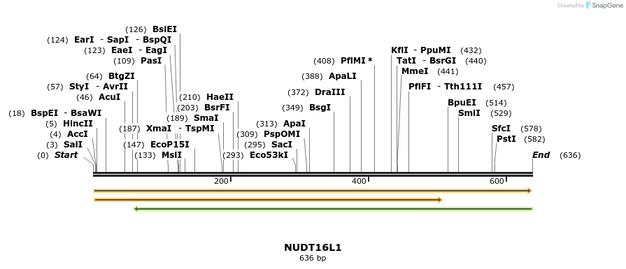 301199_map