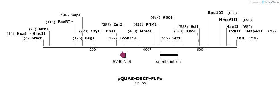 30120_map