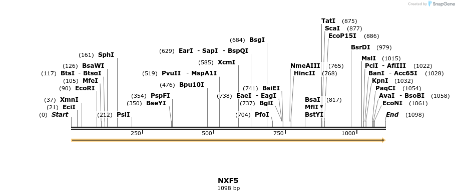 301205_map