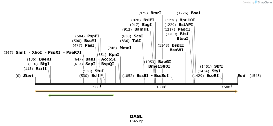 301206_map