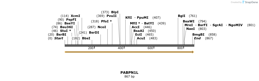 301211_map