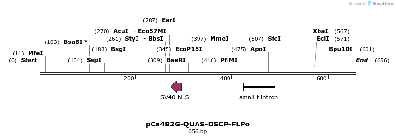 30123_map