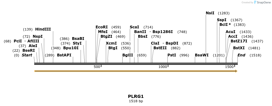 301231_map