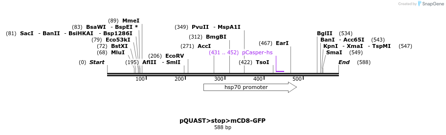 30124_map