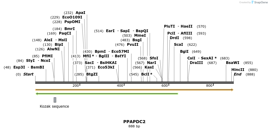 301240_map