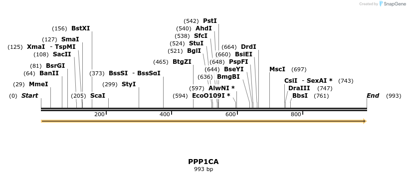 301247_map