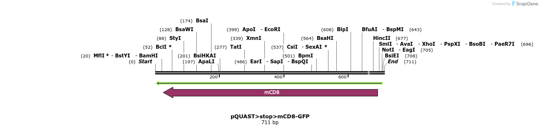 30125_map